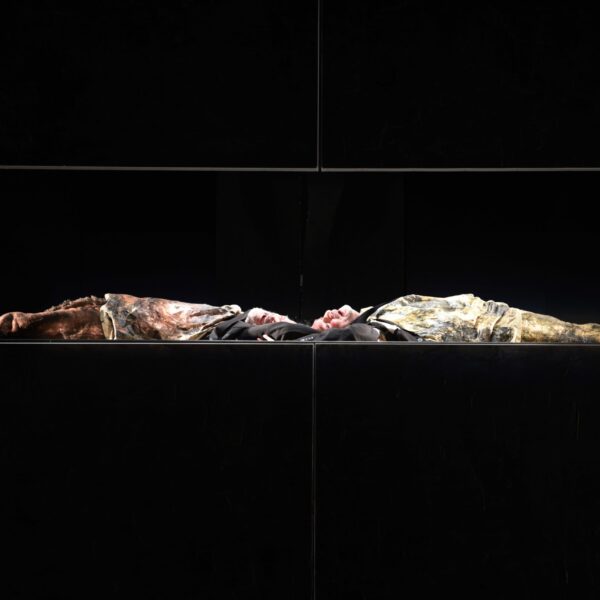 PORCACCHIA TRAPORTI TEATRALI   GLOBO ITALIA  ASPETTANDO GODOT  EMILIA ROMAGNA TEATRO